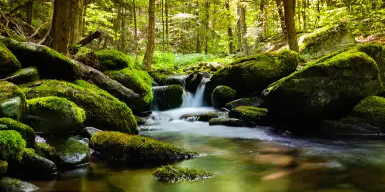 como usar sons da natureza para dormir rápido