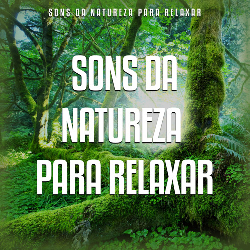 Como criar o hábito de ouvir sons da natureza para dormir