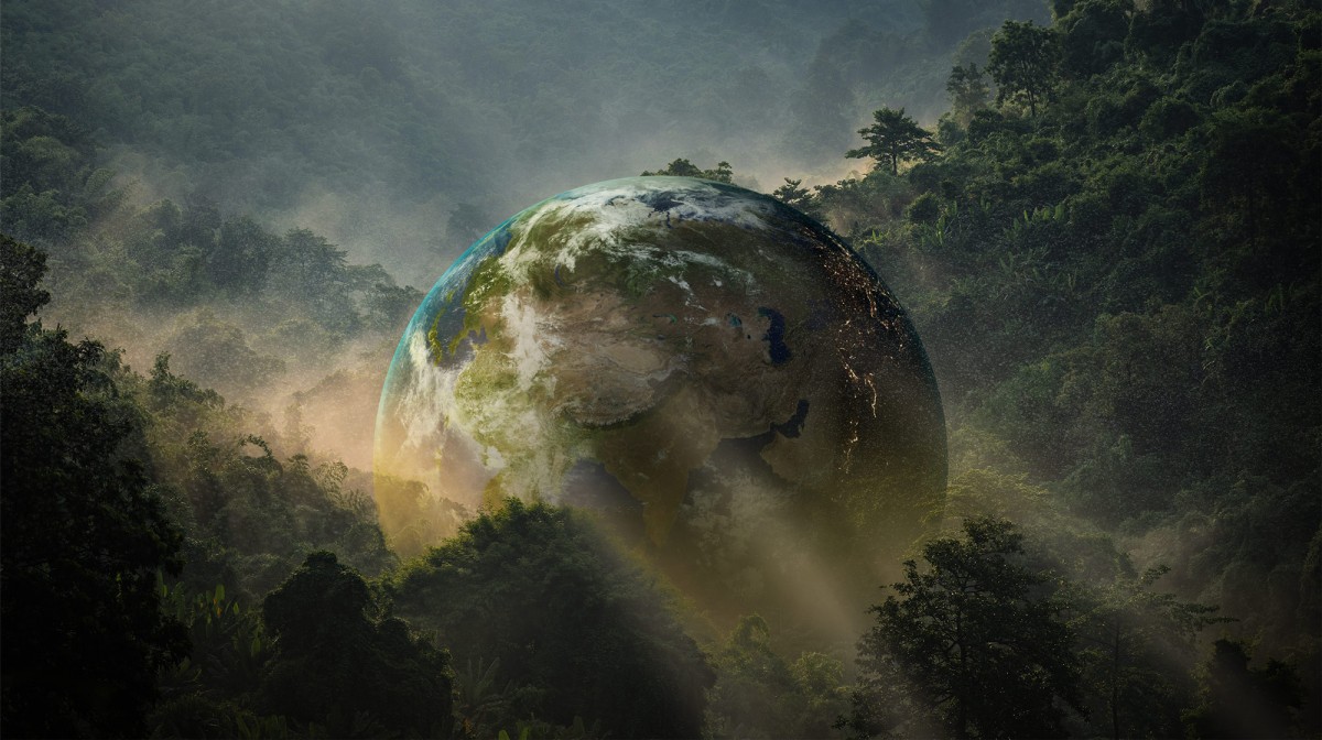 sons da natureza vs ruído branco para insônia