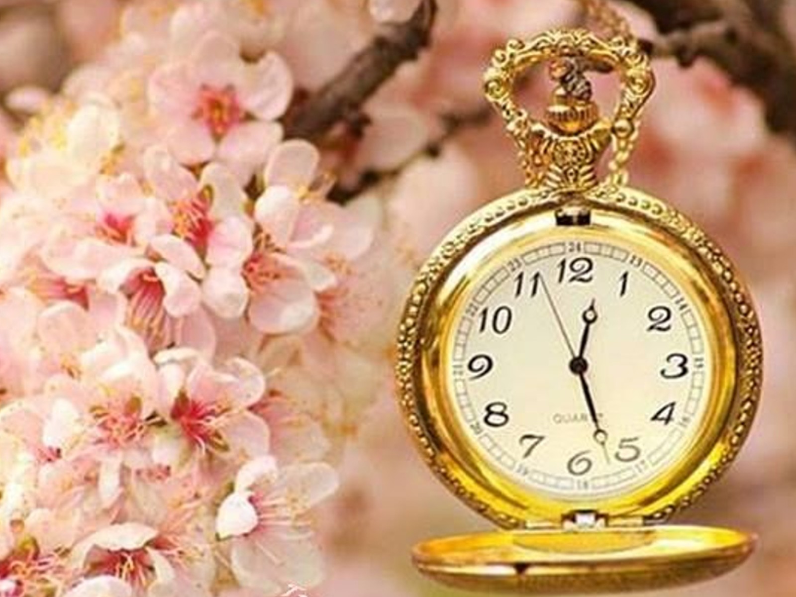 mindfulness para impaciência