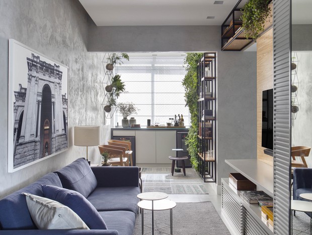 Plantas Ideais para Trazer Vida à sua Sala Pequena