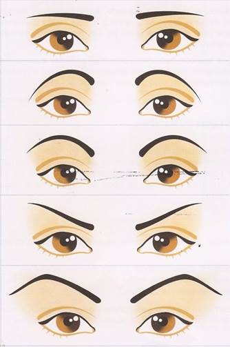 Produtos essenciais para manter suas sobrancelhas perfeitas