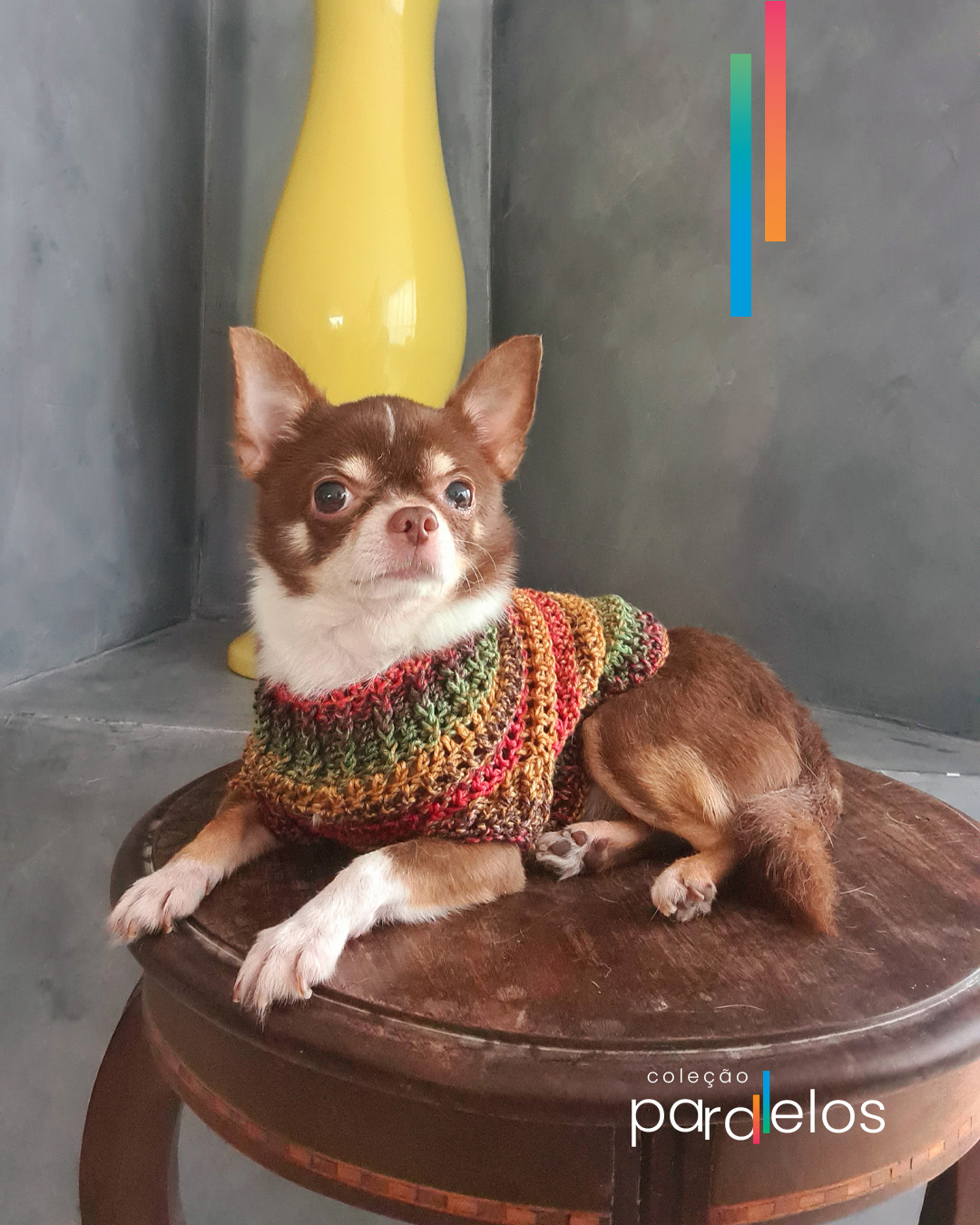 Receita de Cachorro Amigurumi: Passo a passo detalhado para cães salsicha