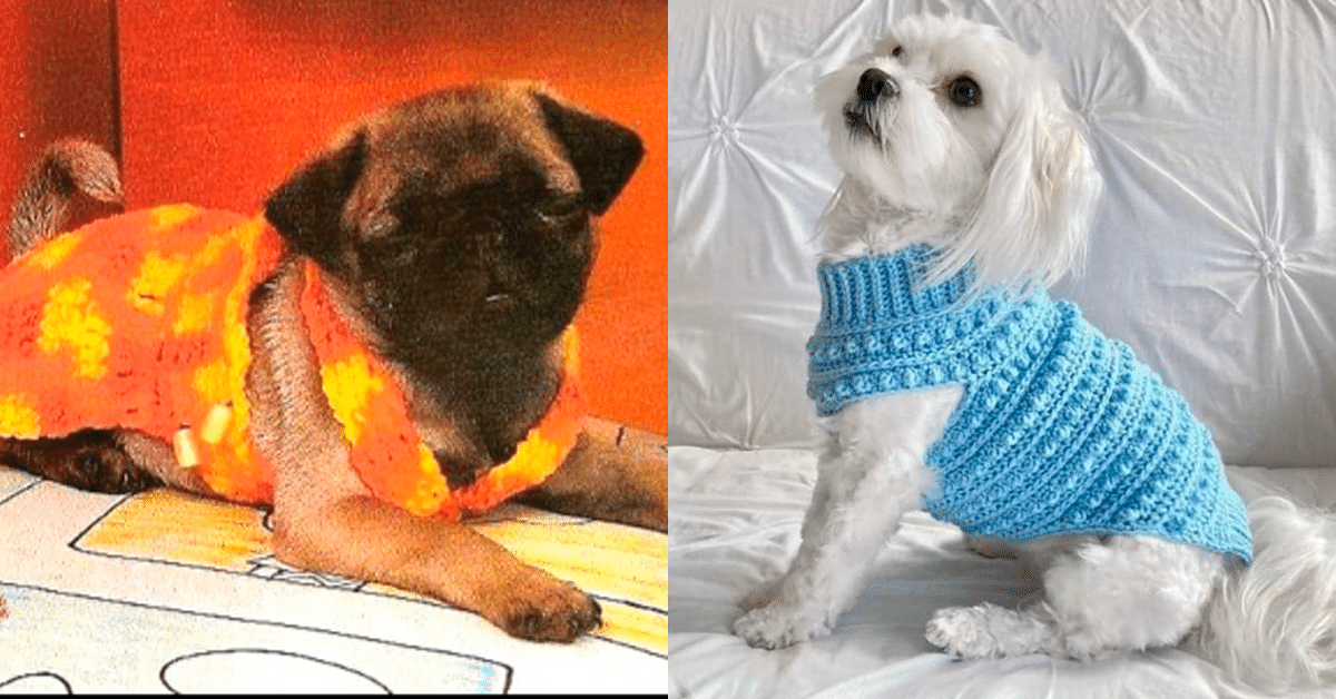 Materiais essenciais para criar seu cachorro amigurumi perfeito