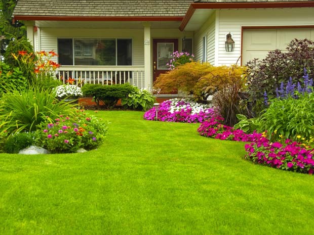 Como escolher o tipo de grama ideal para cada ambiente