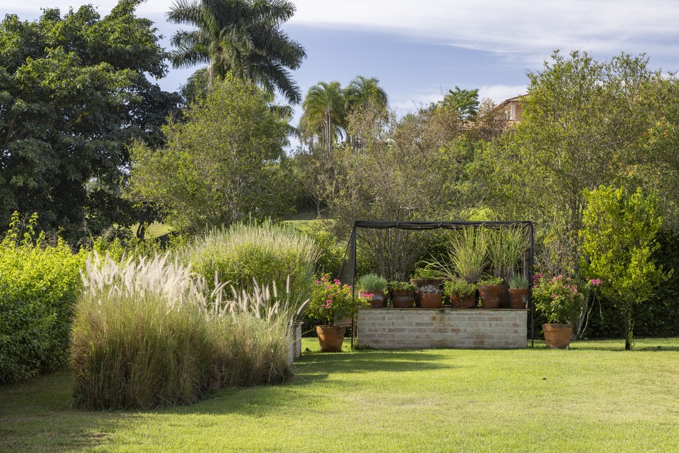 Erros comuns no plantio de grama e como evitá-los