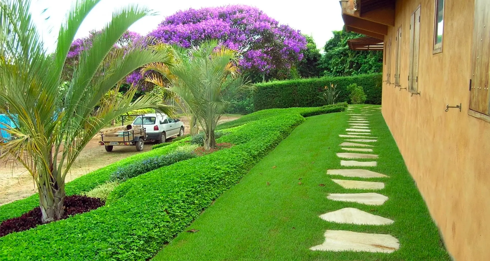 Dicas essenciais de irrigação para manter seu gramado sempre verde