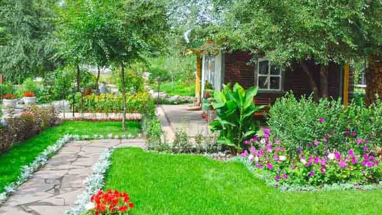 Como fazer gramado perfeito no jardim de casa