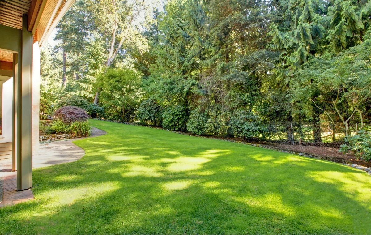 Guia completo de preparo do solo para um gramado impecável