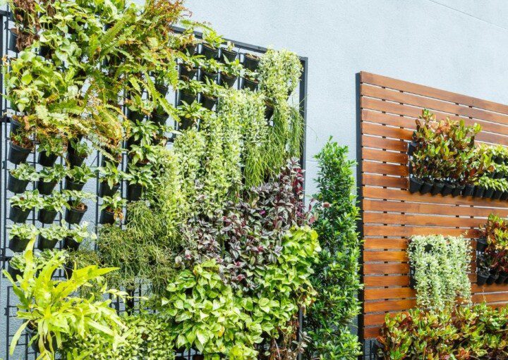 As 10 Melhores Plantas para Jardim Vertical em Ambientes com Pouca Luz