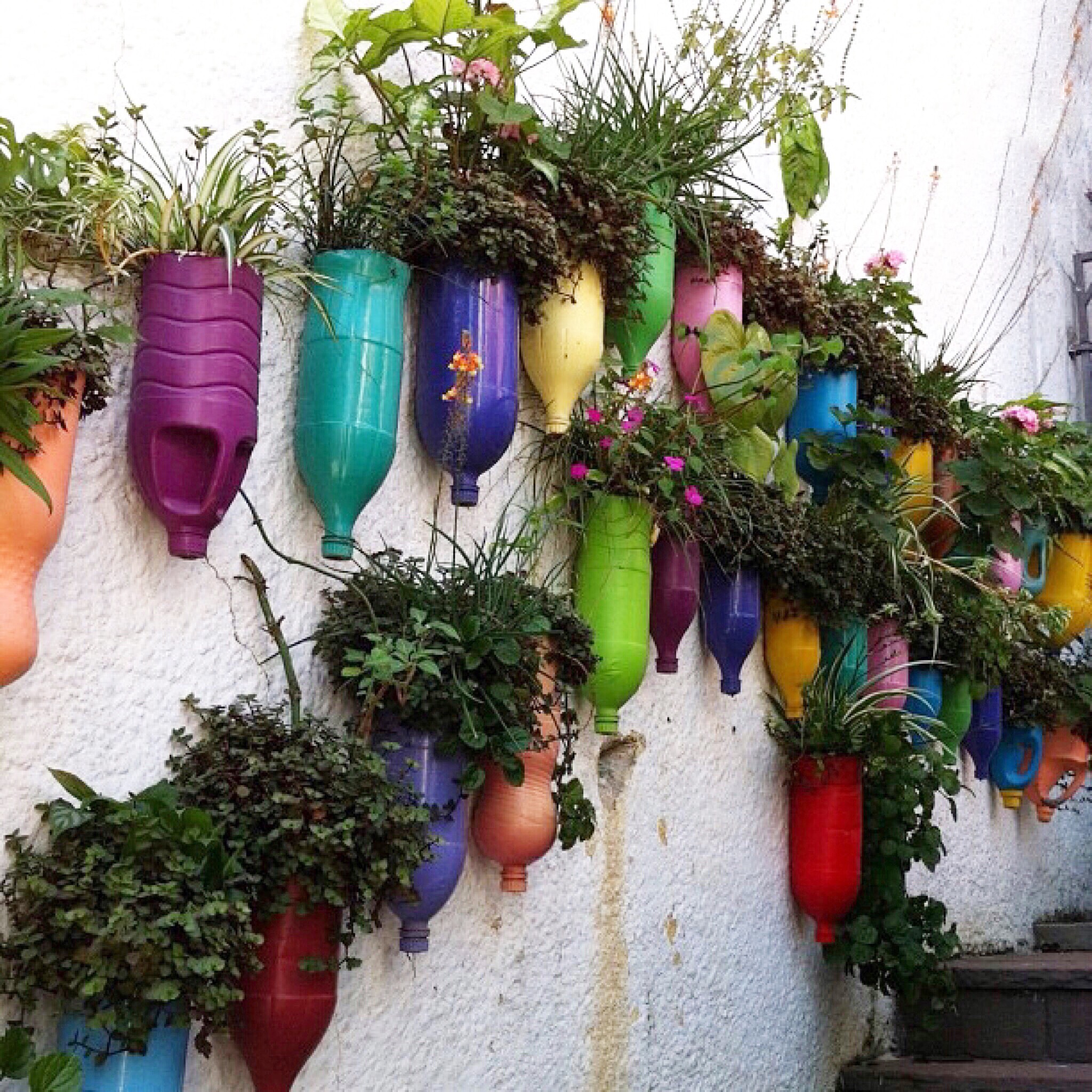 Manutenção Essencial para o Seu Jardim Vertical Durar Mais