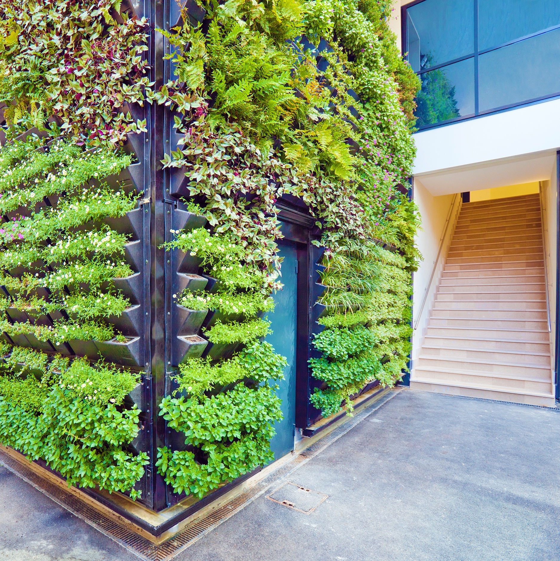 As 10 Melhores Plantas para Jardim Vertical em Ambientes com Pouca Luz