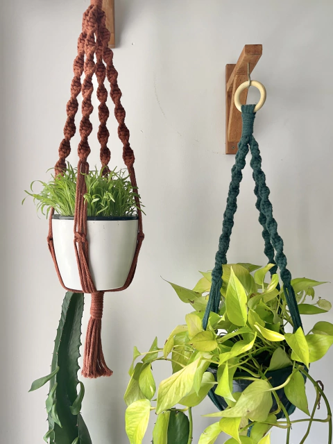 DIY suporte plantas macramê com barbante de algodão