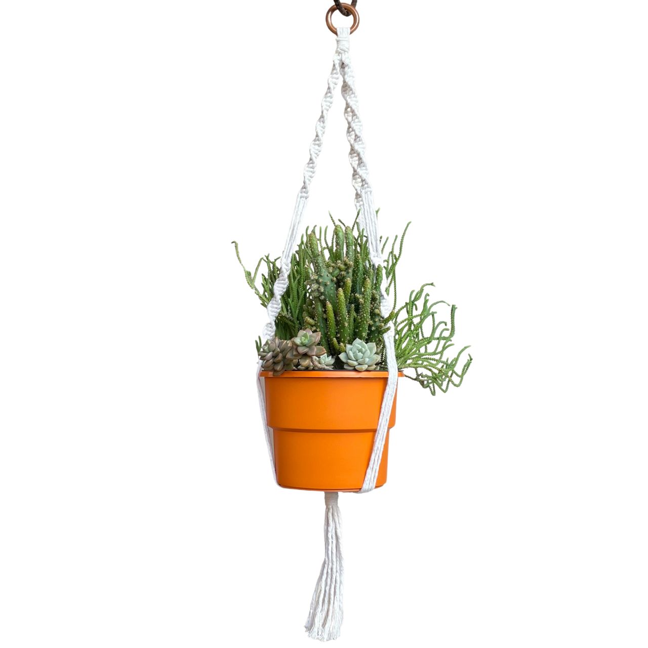 como fazer suporte de plantas em macramê para iniciantes