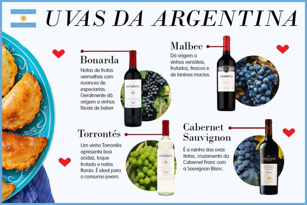 Como fazer um roteiro de vinhos feminino na Argentina ou Chile