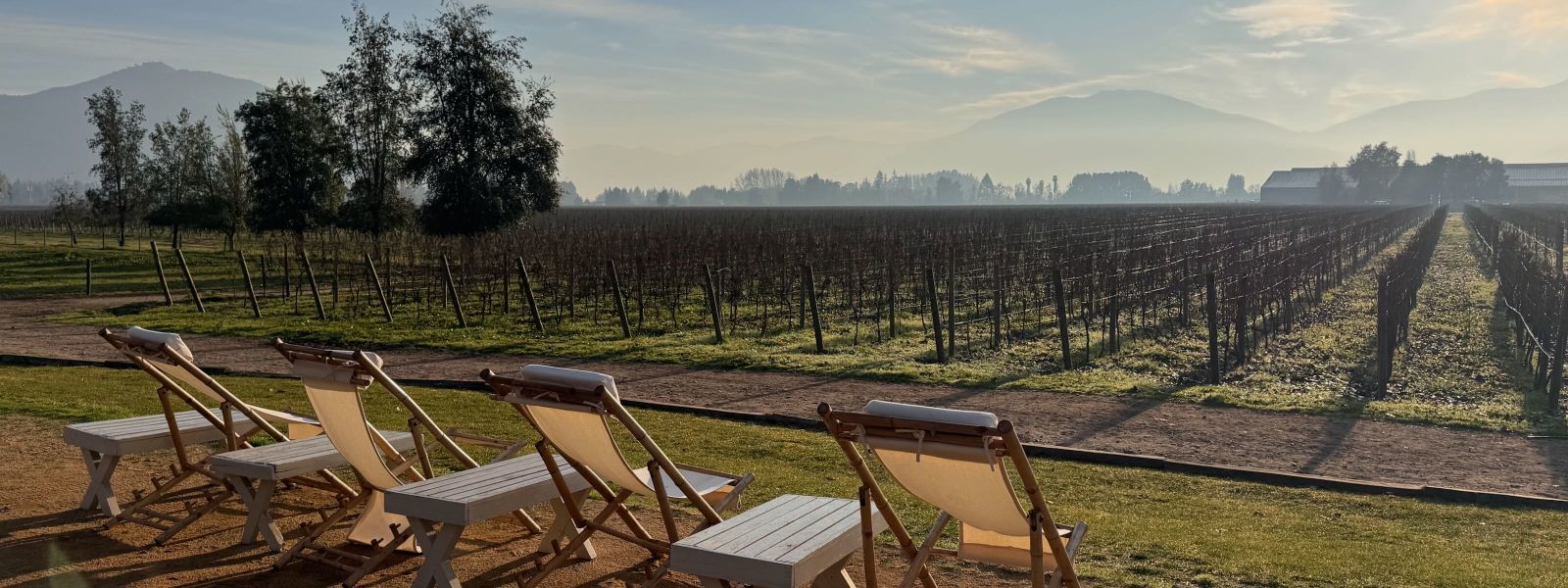 Como fazer um roteiro de vinhos feminino na Argentina ou Chile