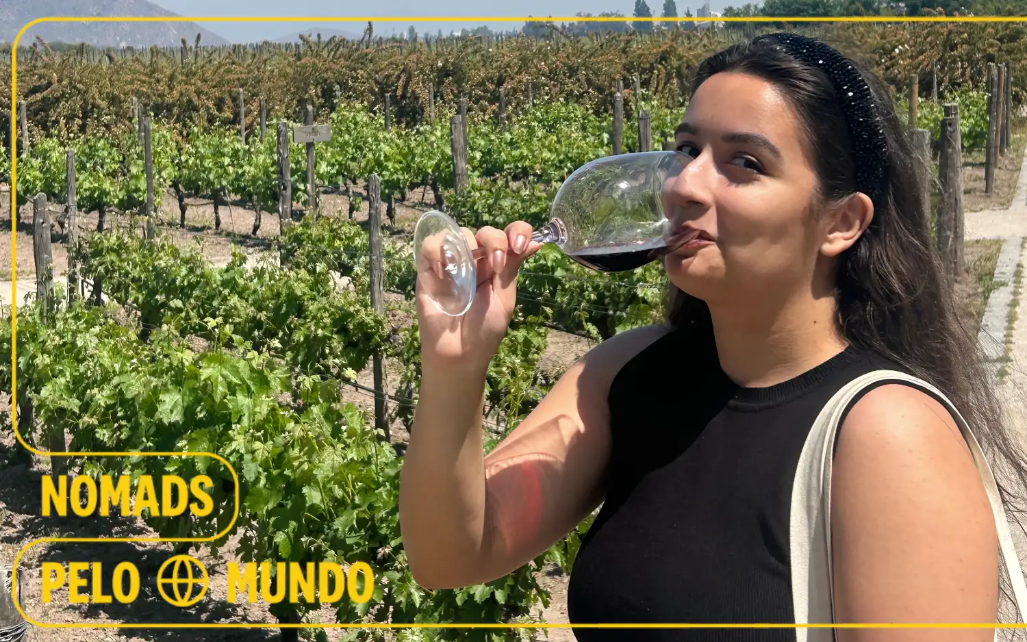 Como fazer um roteiro de vinhos feminino na Argentina ou Chile