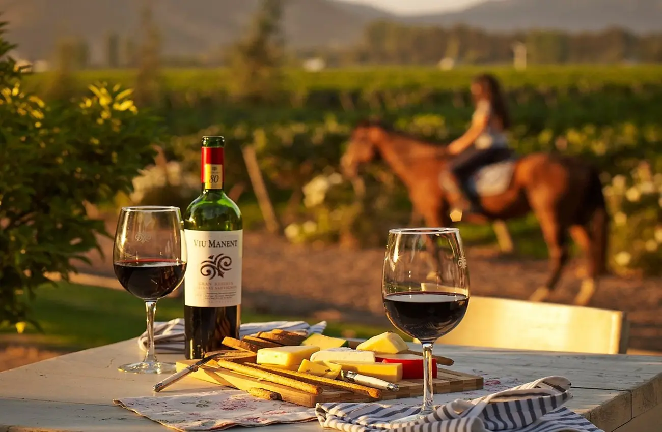 Como fazer um roteiro de vinhos feminino na Argentina ou Chile