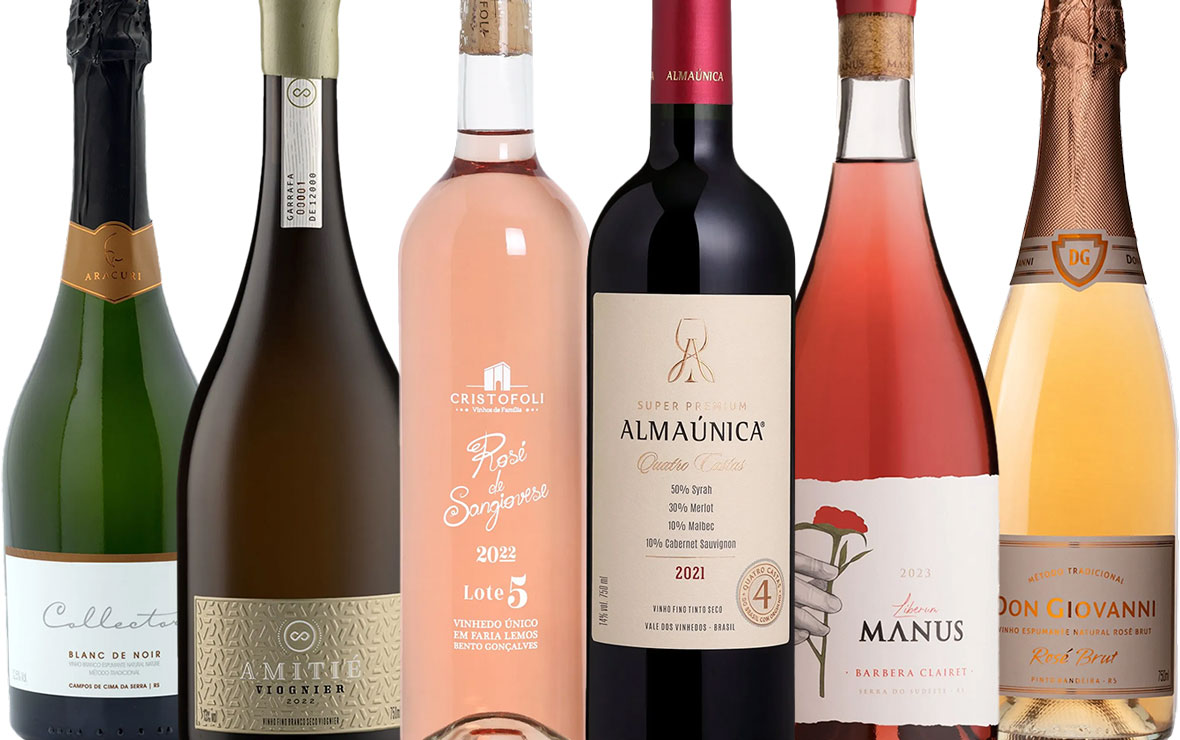 Como fazer um roteiro de vinhos feminino na Argentina ou Chile