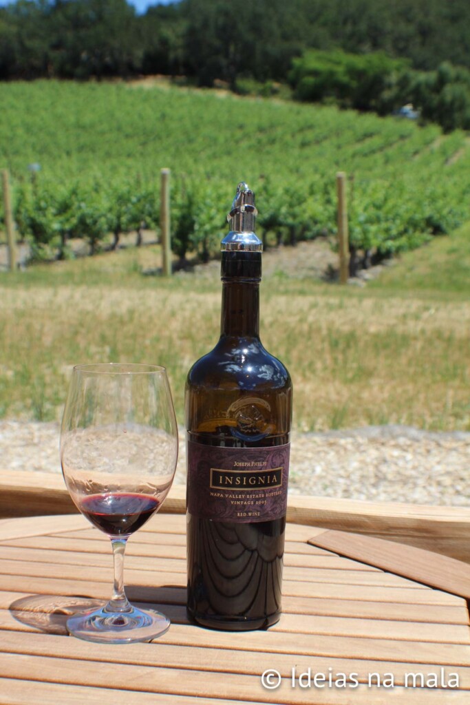 Como fazer um roteiro de vinhos feminino na Argentina ou Chile