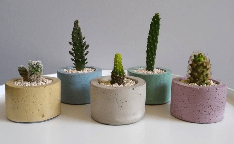 diy vaso de cimento rústico