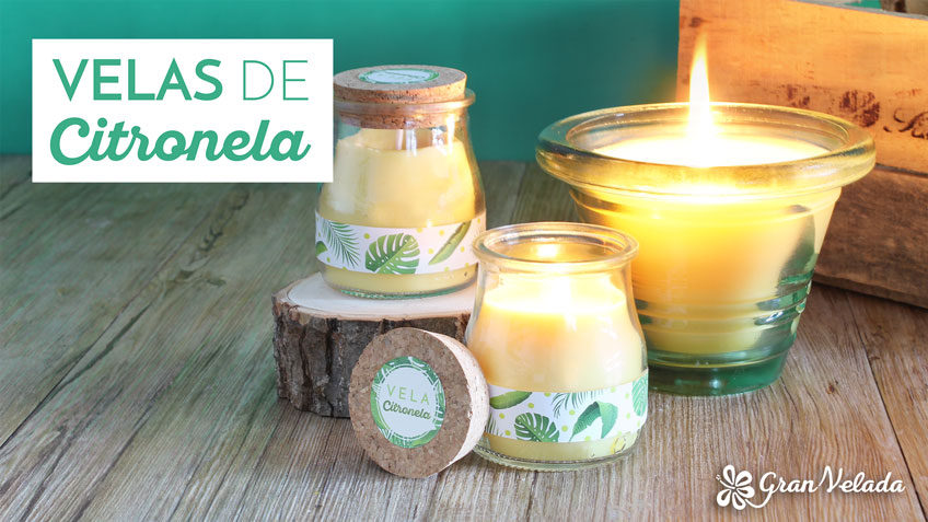 Como fazer velas de citronela repelentes naturais
