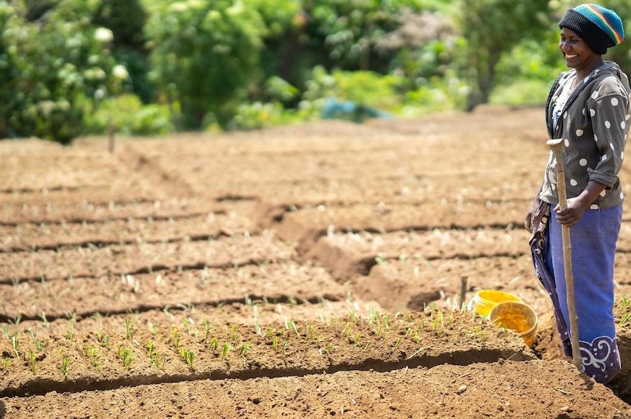 networking profissional para desempregados