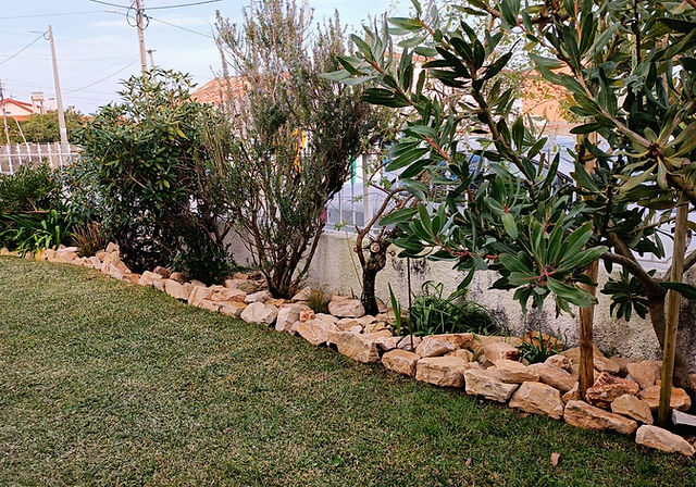 Jardim de pedras em espaços pequenos: dicas e inspirações