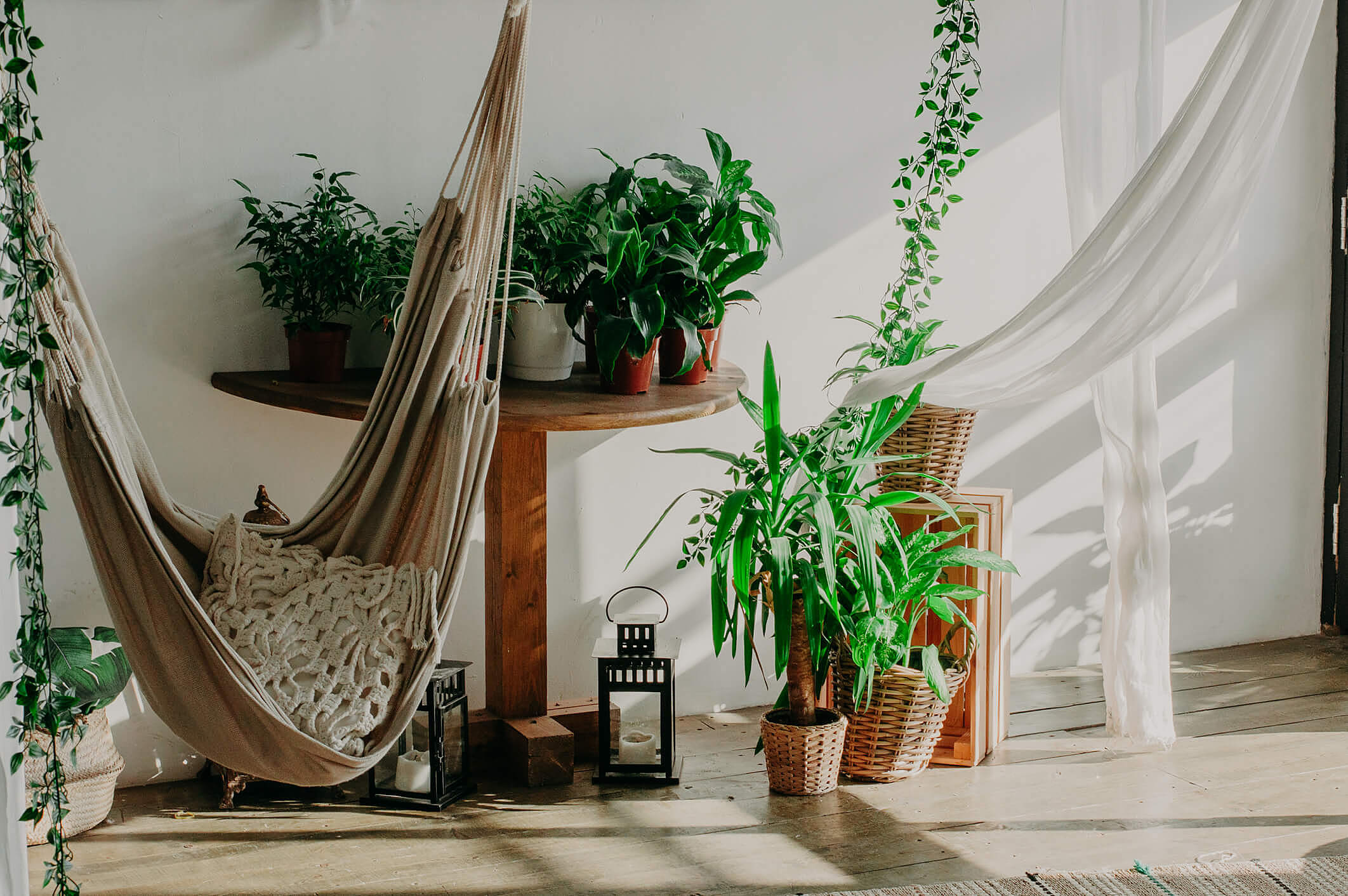 DIY jardim zen escritório