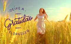 como registrar momentos de gratidão em viagens