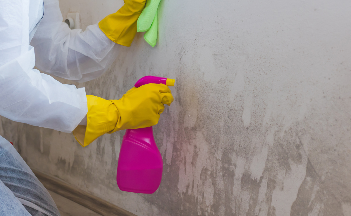 Como tirar mofo das paredes de forma definitiva