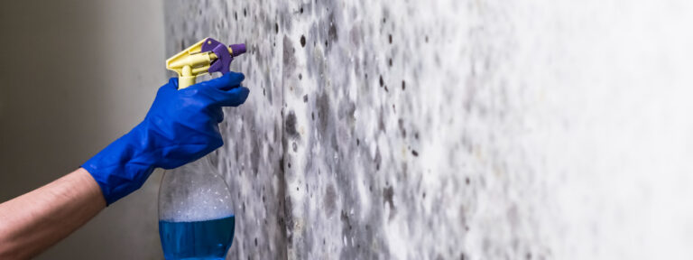 Os Melhores Impermeabilizantes e Tintas Antimofo para Proteger Sua Casa