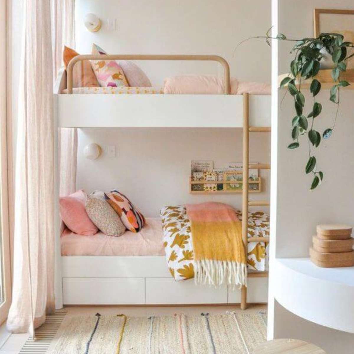 Guia Completo: Beliche