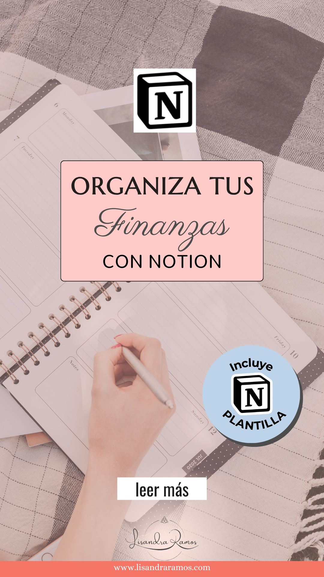 notion para finanças