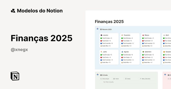 notion para finanças