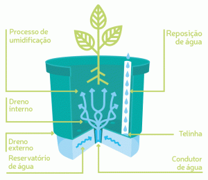 Como usar vasos de autoirrigação para plantas