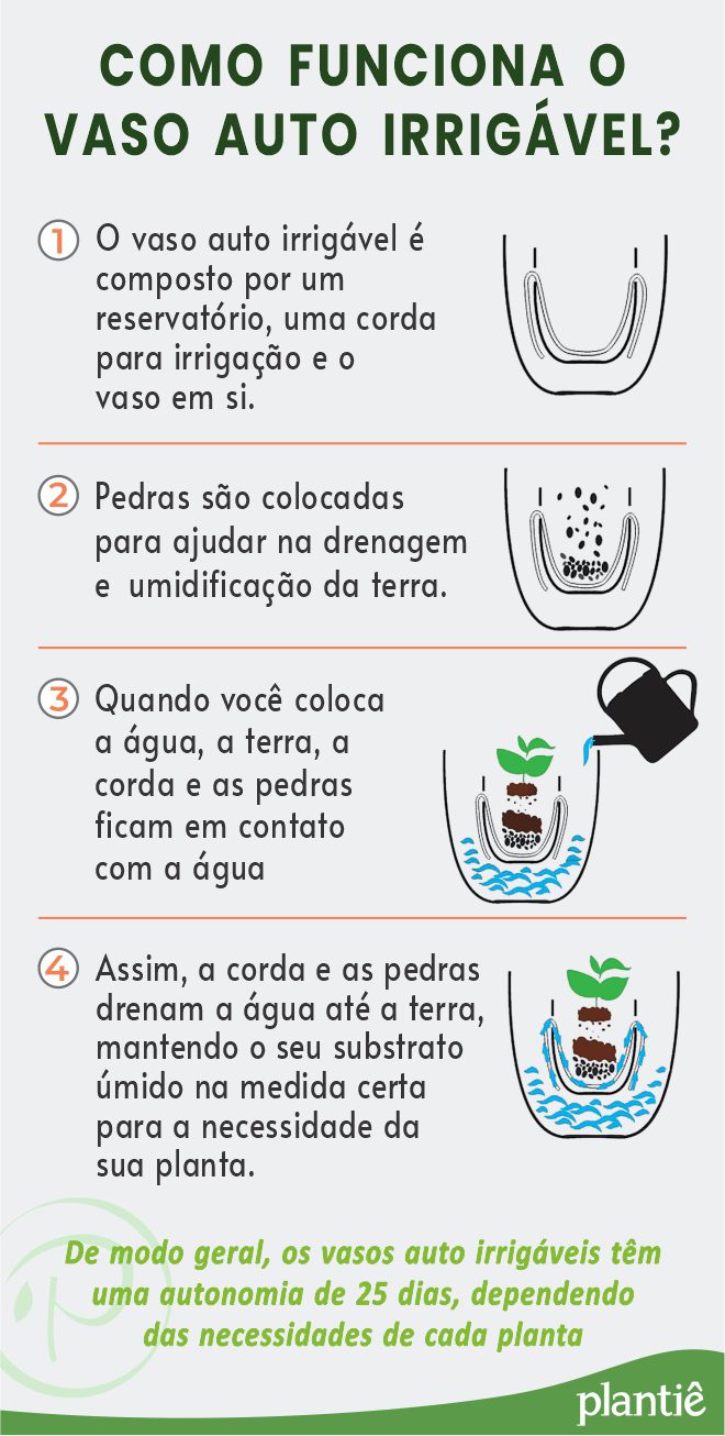 Guia completo: Como escolher o melhor vaso autoirrigável para sua casa