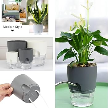 Vaso autoirrigável DIY: Faça o seu em casa com materiais simples