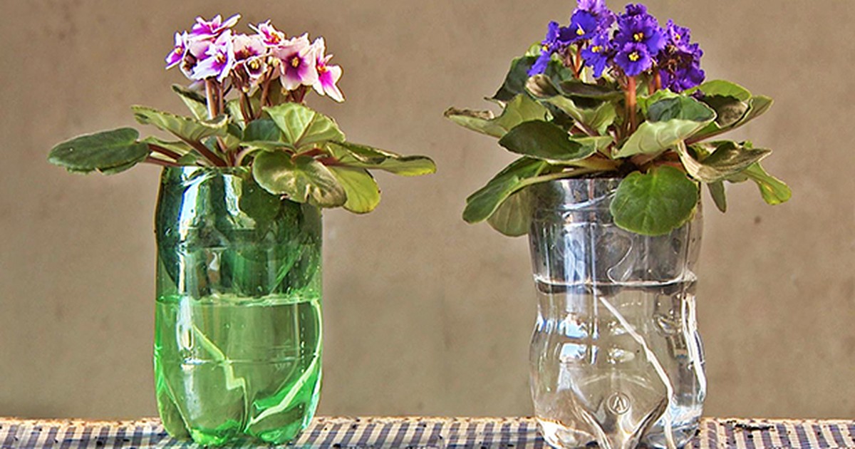 Desvendando o sistema de capilaridade: A ciência por trás dos vasos autoirrigáveis