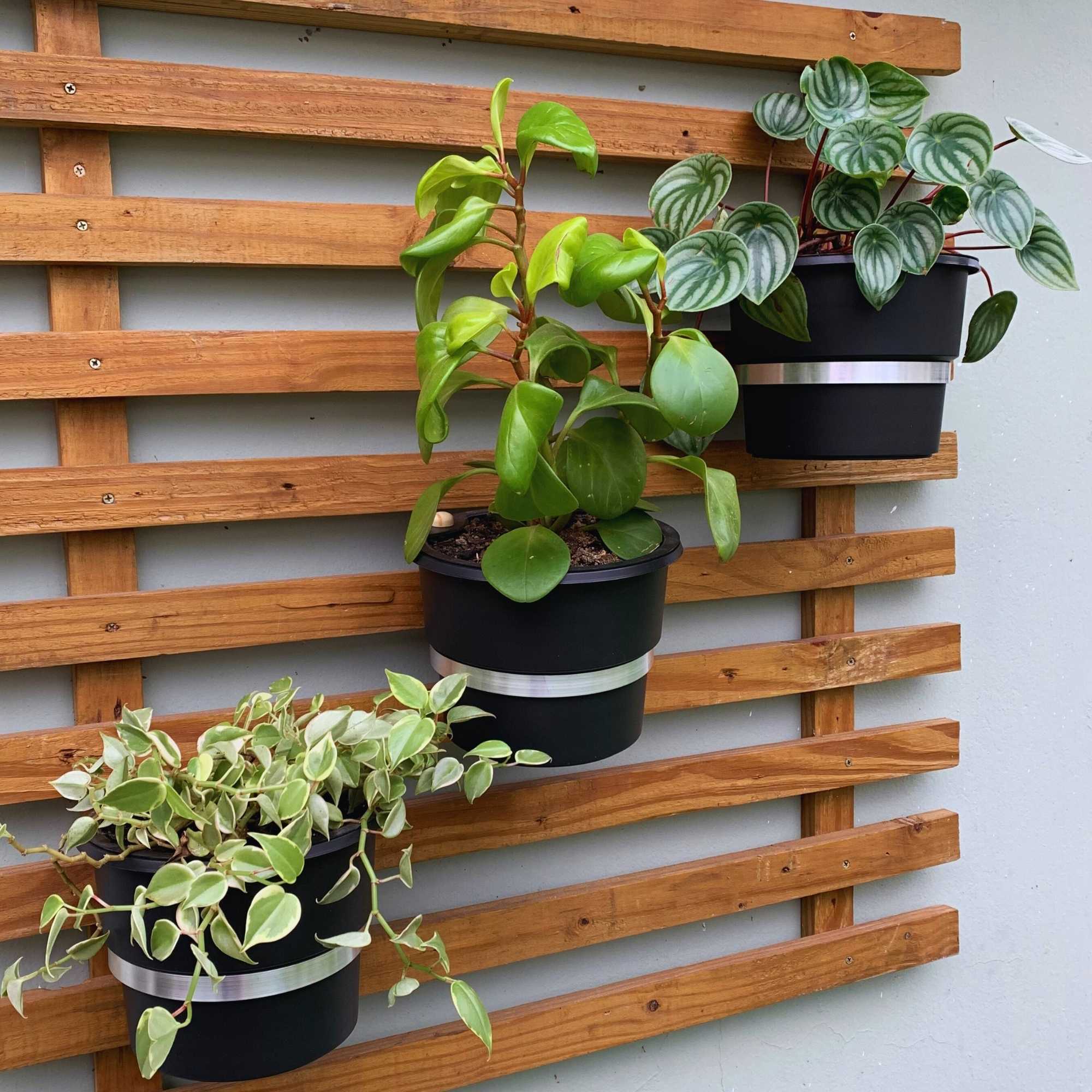 Erros comuns ao usar vasos autoirrigáveis e como evitá-los