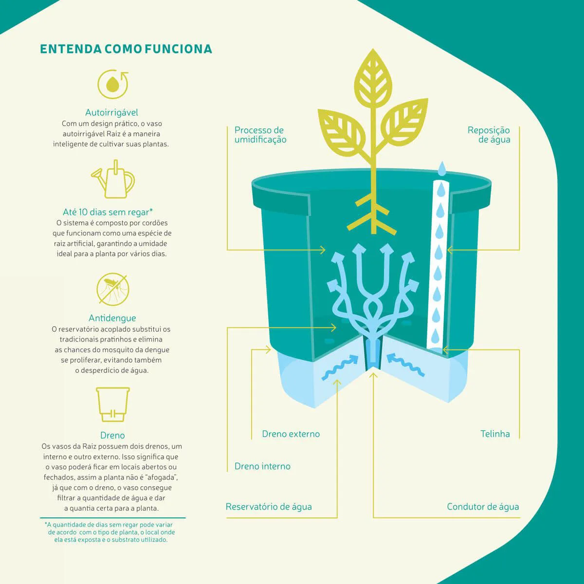 Como usar vasos de autoirrigação para plantas