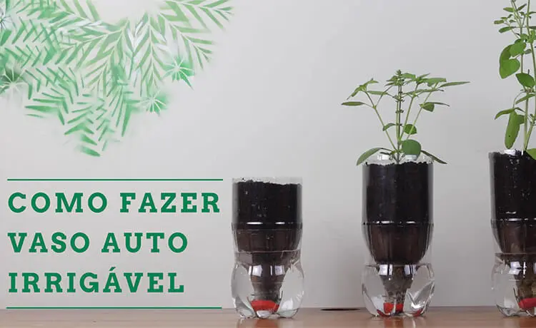 10 plantas que amam vasos autoirrigáveis e como cultivá-las