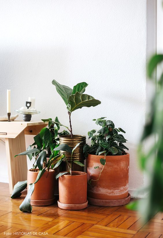 5 estilos de vasos de barro que transformam qualquer ambiente