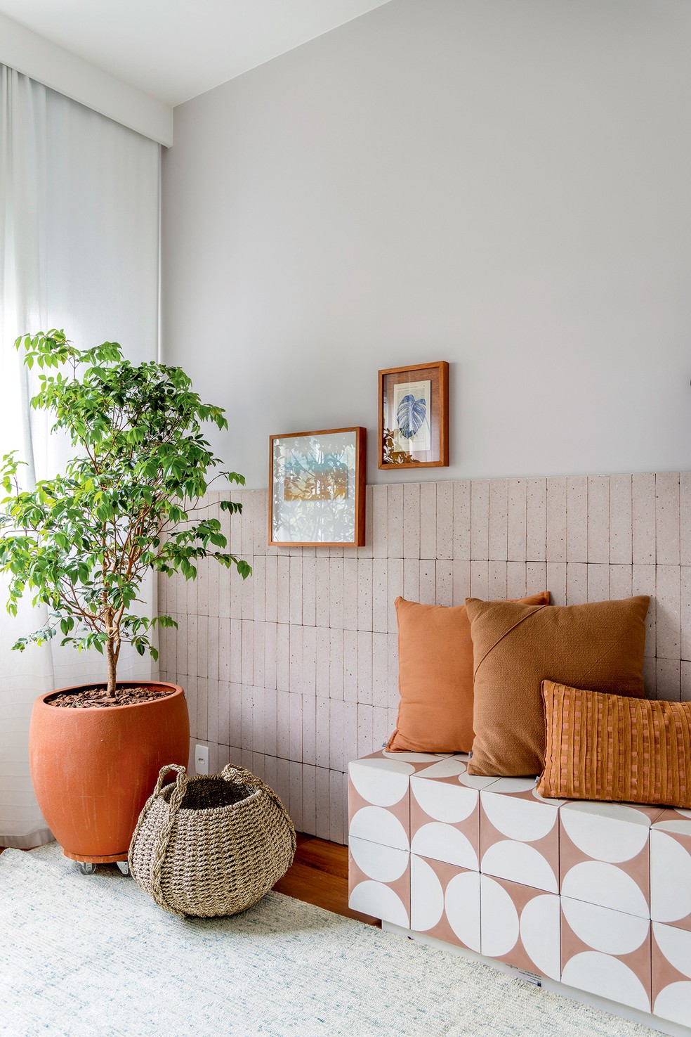 Plantas ideais para vasos de barro: cactos