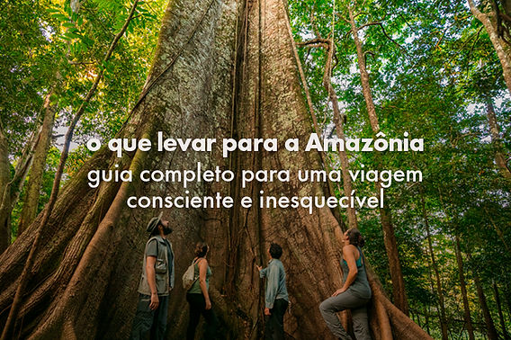 quanto custa viajar para amazônia sozinha