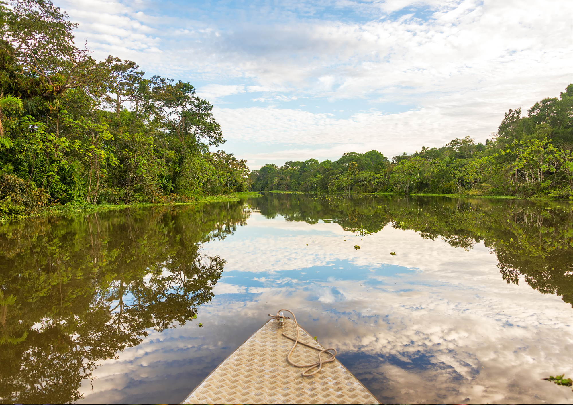 quanto custa viajar para amazônia sozinha