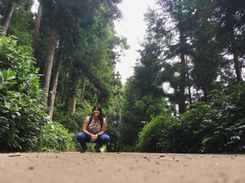 Como viajar sozinha para a Ilha da Madeira e Açores