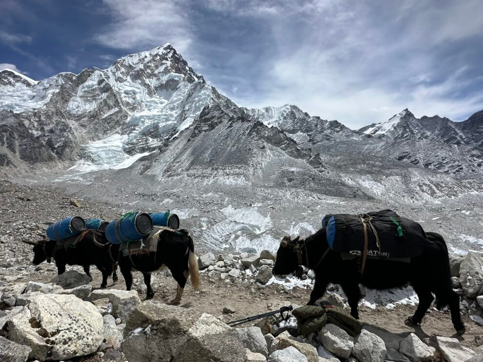 Dicas essenciais de saúde e segurança para viajantes no Nepal