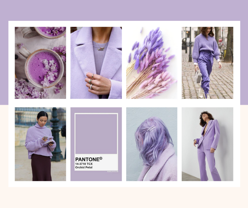 pintura lavanda