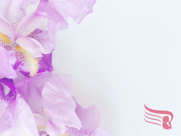 cantinho de fotos culto mulheres frases bíblicas